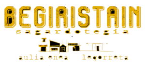 Begiristain logo